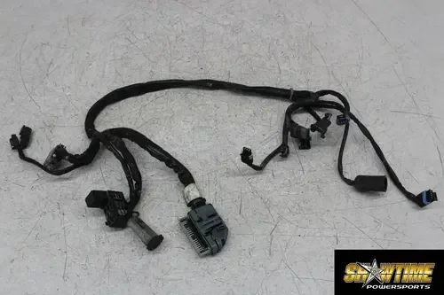 00-06 HARLEY-DAVIDSON FLHTCUI ANNIVERSARY REAR SUB WIRING HARNESS
