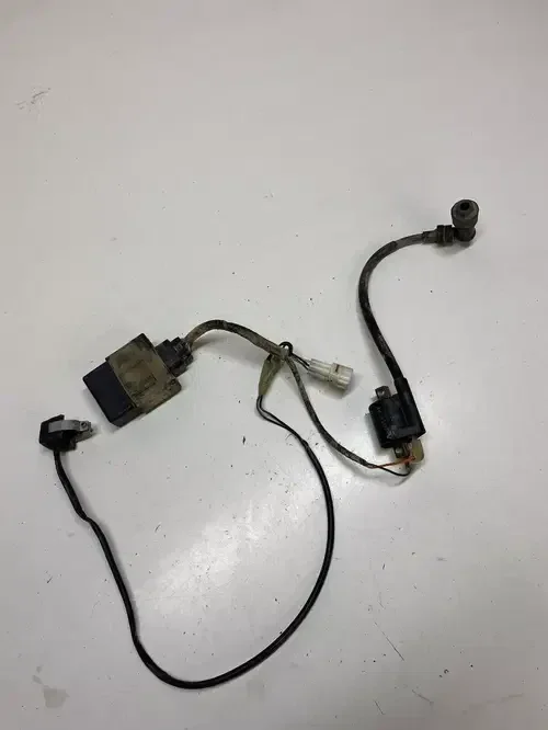 2002 02 Yamaha TTR125 Ttr 125 GOOD WORKING Wiring Harness ECU Coil FREE SHIP