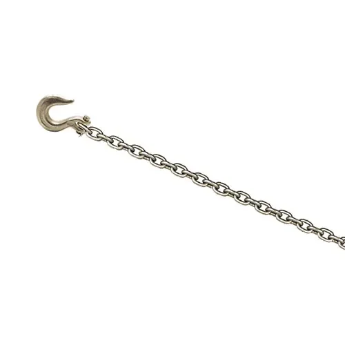 CHAMP® 5-Foot Chain with Grab Hook 1020