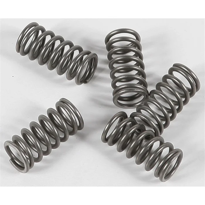 EBC Brakes Clutch Springs [MPN: CSK77]