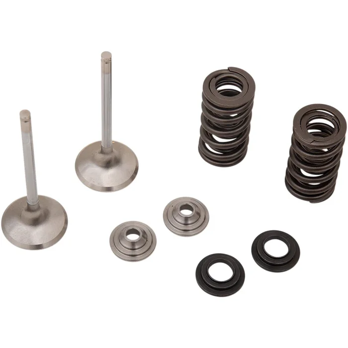 Moose Offroad Valve and Spring Kit 0926-3195
