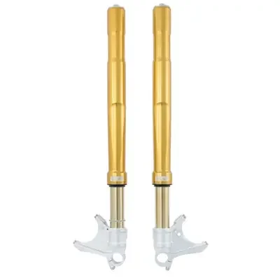 Ohlins BMW R nineT 17-23 Street Performance FGRT 200 Gold Front Forks