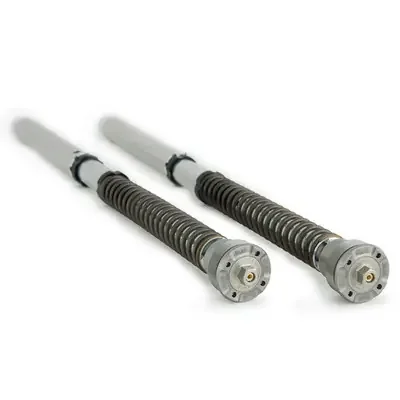 Ohlins BMW S1000RR 19-25 NIX 30mm Fork Cartridge Kit w/Springs