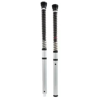Ohlins Kawasaki Z900RS/Performance/CAFE 17-23 Street NIX 30mm Fork Cartridge Kit w/Springs