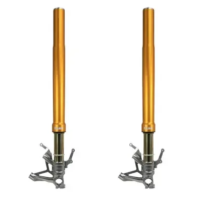 Ohlins Yamaha YZF-R6 17-24 Supersport FGR 250 Front Forks