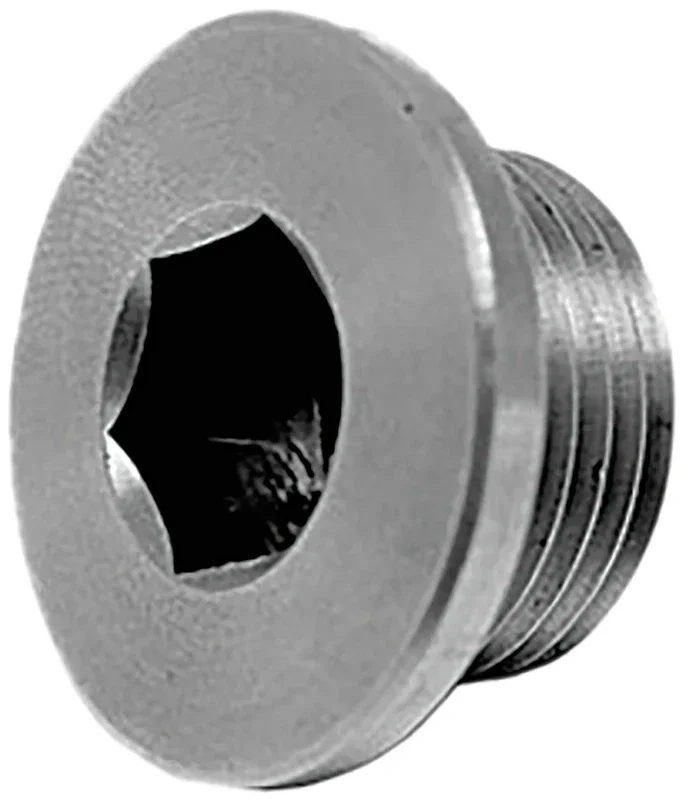 Oxygen Sensor Plug