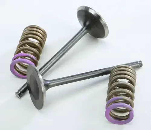Pro X 28.SIS1336-2 Steel Valves and Spring Kits