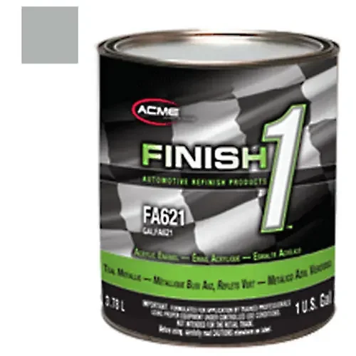 Sherwin-Williams Finish 1 Galaxy Silver Paint – FA683