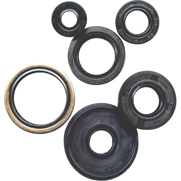 Vertex Oil Seal Set [MPN: 822272]